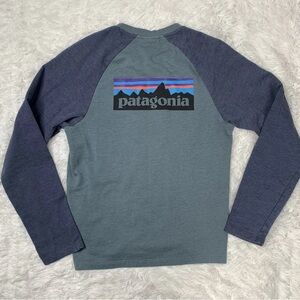 Patagonia Organic Cotton Mens Sweatshirt Size S Small Spellout Logo Teal Blue